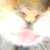 :iconnightmareoftheart:
