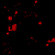 :iconnightmareofthedark: