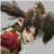 :iconnightmaretira13:
