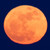 :iconnightmarin: