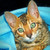 NightmarishWaltz452 :iconnightmarishwaltz452: