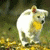 :iconnightmask: