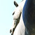 :iconnightmaze:
