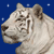 :iconnightmoondarkdevil: