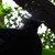 :iconnightowl103: