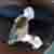 :iconnightravenavatar: