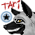 :iconnights-eclipse: