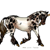 :iconnightshade552: