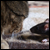 :iconnightsky1357: