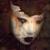 :iconnightsky365:
