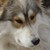 :iconnightskywonder: