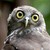 :iconnightstalker27: