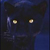 :iconnightstalker3258: