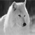 :iconnightstalker42: