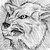 :iconnightstar999: