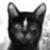 :iconnightstripe: