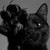 :iconnightt-shadee: