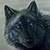 :iconnightwavedcon: