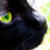 :iconnightwhisper-24:
