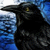 :iconnightwisper: