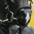 :iconnightwolfferris: