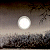 :iconnightword: