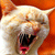 :iconNightychao: