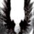:iconnihilistoic: