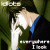 :iconniichi: