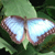 :iconnijuuni-gou: