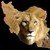 :iconnik1981s: