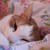 :iconnikcosplay: