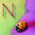 :iconnikidun: