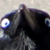 :iconnikisfritz: