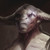 :iconnikita-drizhenko: