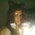 :iconnikitablackrose: