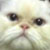 :iconnikitaneko: