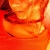 :iconnikitash: