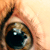 :iconnikkelodeonpsfairy: