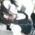 :iconnikki-mayhem: