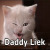 :iconnikkia413: