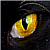 :iconnikkimo: