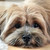 :iconnikkinl76: