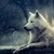 NikkiParx019 :iconnikkiparx019: