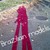 :iconnikkitard: