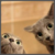 :iconniklon9141: