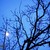 :iconnikonshoot: