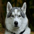 :iconNikonZealot45: