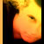 :iconnikophin: