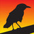 :iconnil-000: